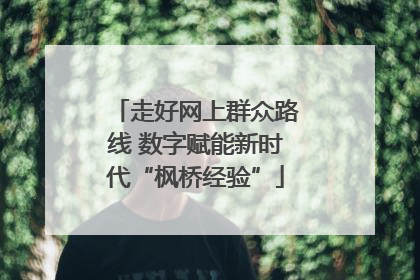 走好网上群众路线 数字赋能新时代“枫桥经验”